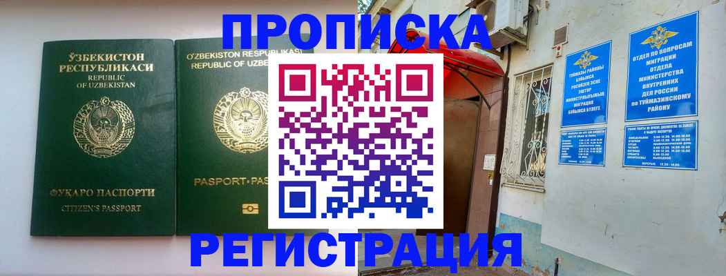 где прописаться в Малой Вишере